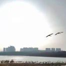 易百纳技术社区