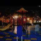 南柯一梦的头像-日本！日本语