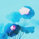 吴先生的头像