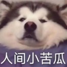 許多多