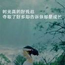 wx_枫叶87