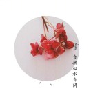 刘先生