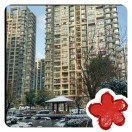 胜13365752481的头像-涛哥