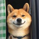 发呆的头像-邻而帮（02bang.com）