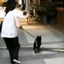 個人頭像