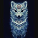 Cubb's Avatar