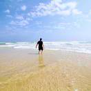 点点墨香店主头像