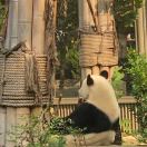 陈剑宇