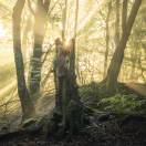 王忠东的头像-熵减岛