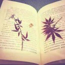 李睿