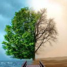 煤矿职工“六必知”汇编（共3套打包）