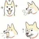 陈诗源
