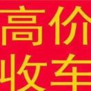 金先生的头像
