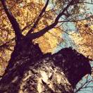 Profile picture of 1374947973