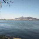 peter的头像-熵减岛