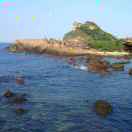 zhefu-rzh