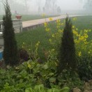 wx_老杨76