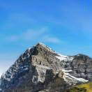 查尔斯AI智能王