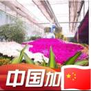 鲁爱国