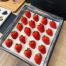 久久🍓草莓🍓批发零售