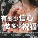 柳絮