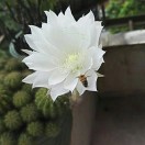 斗战123