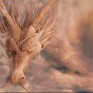 123456 辅酶q10 dha ara 维生素等