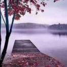 可可江湖的头像 