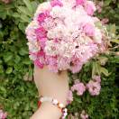 う望着天空＊会想你的头像-熵减岛