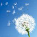 用户74938061的头像-博士钣金 - www.bsbanjin.com