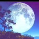 灵月的头像-拟人圈