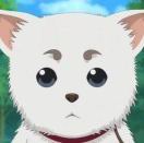 Phil's Avatar