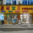 蔡艳芳～八都店