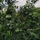 马建军13518238048