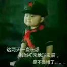 熊女士的头像