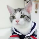 围脖的尼克