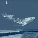 马臻的头像-熵减岛