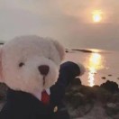 谢先生的头像