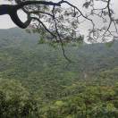 weixin_****Ps6n52...