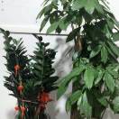 鸿洺模具塑料厂