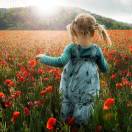 KK家电维修13709250364