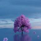 wx_苹果28