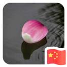 風(fēng)起時(shí)（油畫(huà)，裝飾畫(huà)）