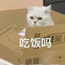张各清