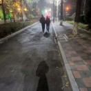 50年以后