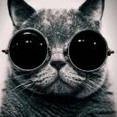 morpheus's Avatar