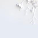 用户头像: