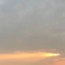 小白