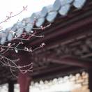 十一scholar的头像-cg男孩