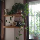 自由人的头像-博士钣金 - www.bsbanjin.com